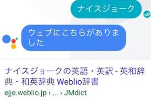 「Googleアシスタントとの楽しい会話特集！ humor充実のコマンドリスト」